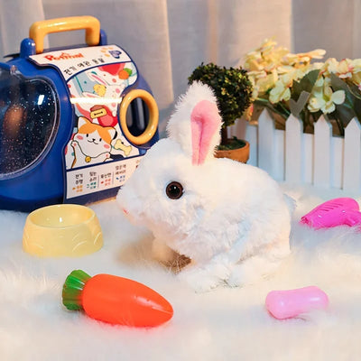 🐇Bunby - My Bunny Toy