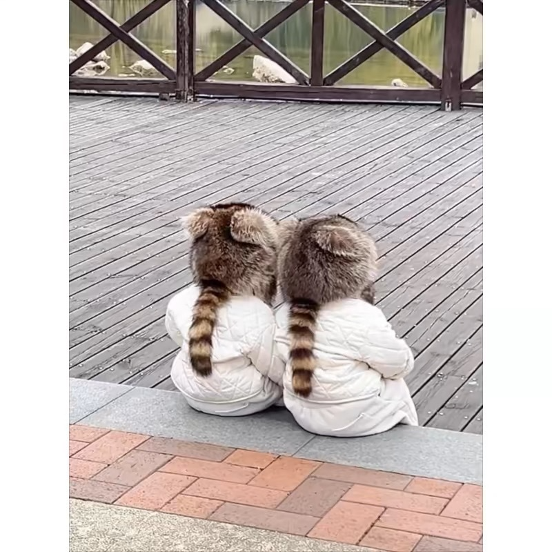 🔥 - Handmade Imitation Raccoon Fur Hat